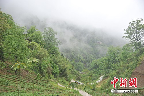 雨后的板厂村。记者 宋宇晟 摄