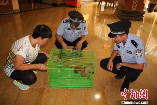 图为民警正在了解蜂猴情况。　解雄波 摄