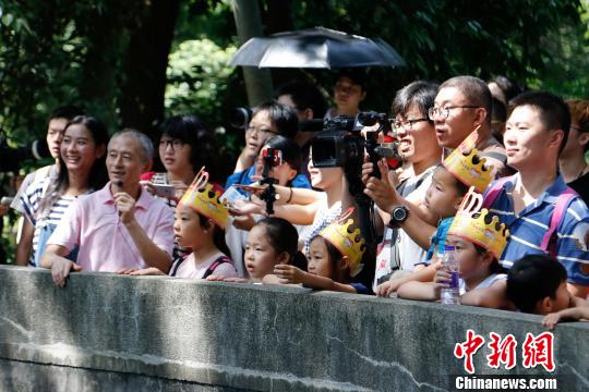 图为保育员张旭升给大家讲解大熊猫的概况。　王远 摄